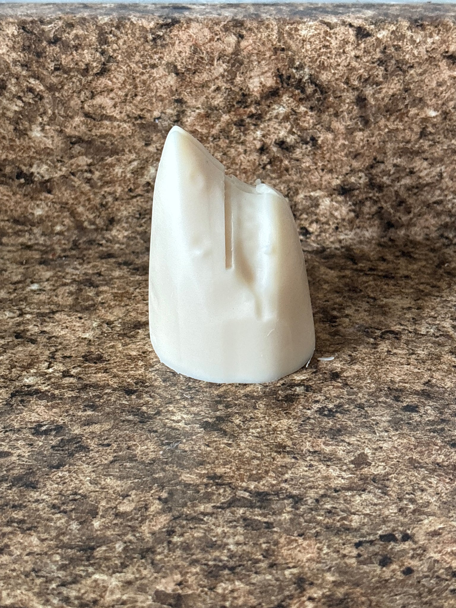 Shark Wax Melt • Soy & Beeswax Tart