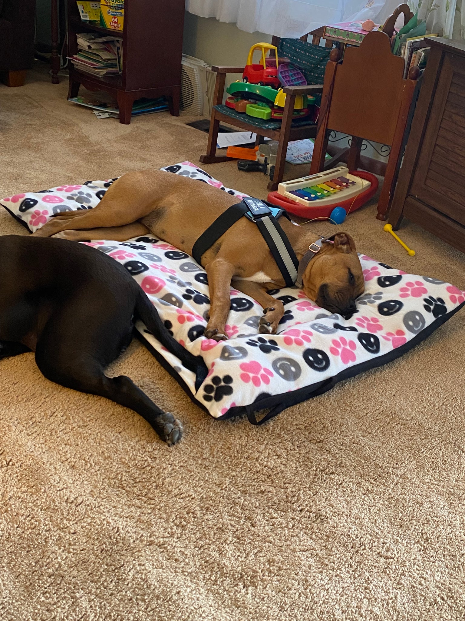 Travel Pet Bed - handsewn to order!
